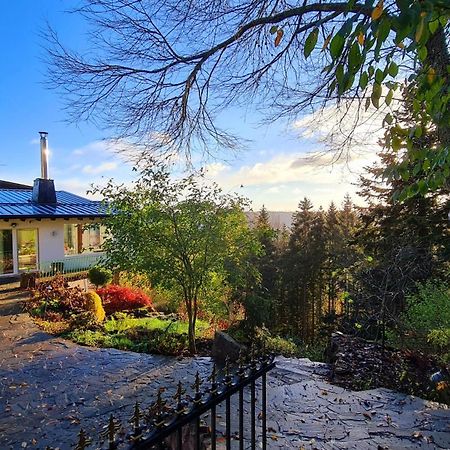 Вілла Panorama Haus Auf Dem Sommerberg Im Schwarzwald Бад-Вільдбад Екстер'єр фото