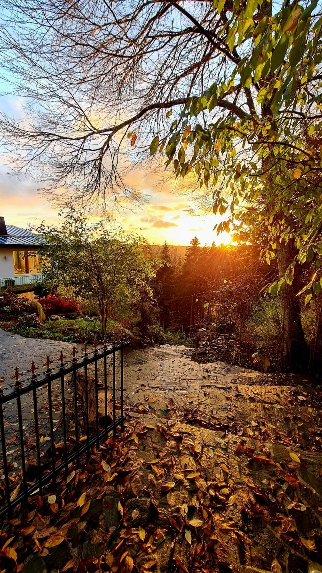 Вілла Panorama Haus Auf Dem Sommerberg Im Schwarzwald Бад-Вільдбад Екстер'єр фото