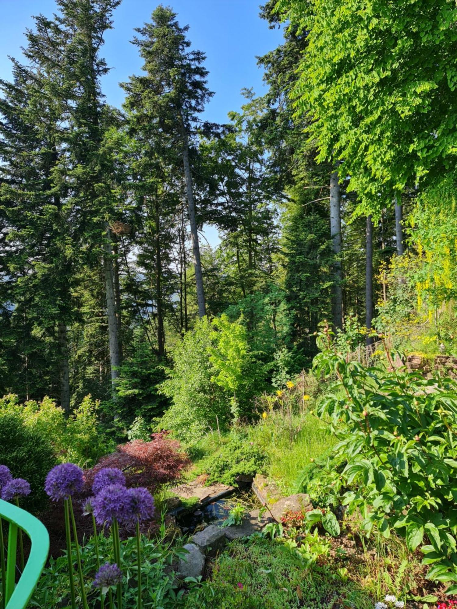 Вілла Panorama Haus Auf Dem Sommerberg Im Schwarzwald Бад-Вільдбад Екстер'єр фото